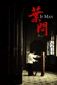 Poster to the movie "Ip Man" #132525