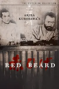 Poster to the movie "Red Beard" #178453