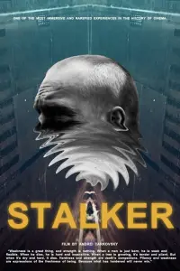 Poster to the movie "Stalker" #176918