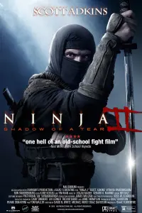 Poster to the movie "Ninja: Shadow of a Tear" #121367