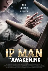 Poster to the movie "Ip Man: The Awakening" #40074