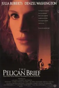 Poster to the movie "The Pelican Brief" #276839