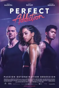 Poster to the movie "Perfect Addiction" #60474