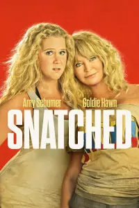 Poster to the movie "Snatched" #87277