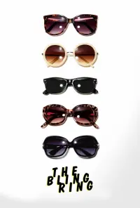 Poster to the movie "The Bling Ring" #153860