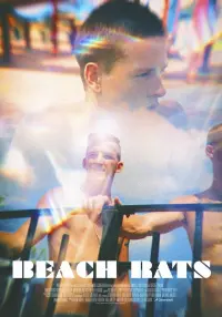 Poster to the movie "Beach Rats" #475056