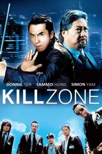 Poster to the movie "SPL: Kill Zone" #150746