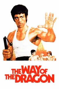 Poster to the movie "The Way of the Dragon" #82860