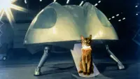 Backdrop to the movie "The Cat from Outer Space" #414617