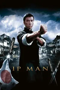 Poster to the movie "Ip Man" #132515