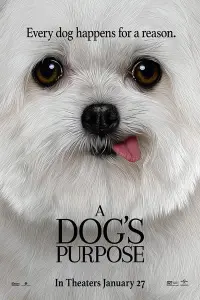 Poster to the movie "A Dog