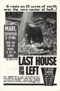 Poster to the movie "The Last House on the Left" #122886