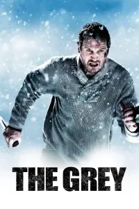 Poster to the movie "The Grey" #279111