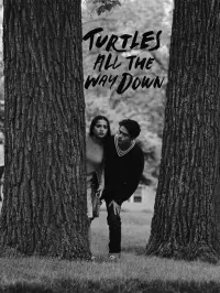 Poster to the movie "Turtles All the Way Down" #472222