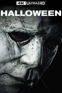 Poster to the movie "Halloween" #45967