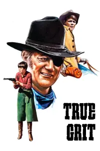 Poster to the movie "True Grit" #100905