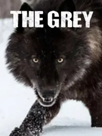 Poster to the movie "The Grey" #279118