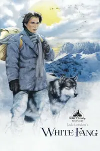 Poster to the movie "White Fang" #122540