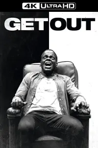 Poster to the movie "Get Out" #49634