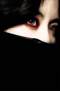 Poster to the movie "Lady Vengeance" #208190