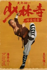 Poster to the movie "Rising Shaolin: The Protector" #687683