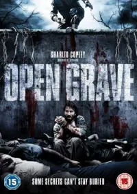 Poster to the movie "Open Grave" #346547