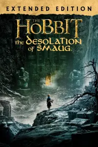 Poster to the movie "The Hobbit: The Desolation of Smaug" #16170