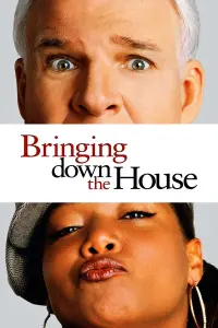 Poster to the movie "Bringing Down the House" #131020