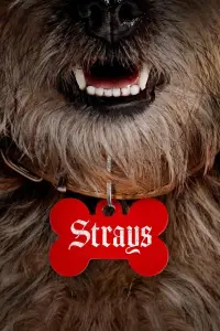 Poster to the movie "Strays" #12991