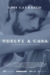 Poster to the movie "Vuelve a casa" #701845