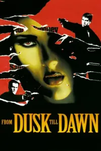 Poster to the movie "From Dusk Till Dawn" #69478