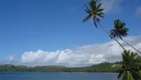 Backdrop to the movie "Return to the Blue Lagoon" #295675