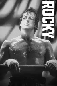 Poster to the movie "Rocky" #186872