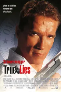 Poster to the movie "True Lies" #242853