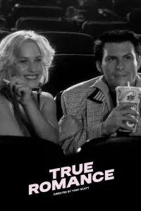 Poster to the movie "True Romance" #453982