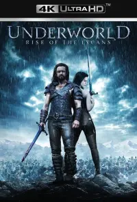 Poster to the movie "Underworld: Rise of the Lycans" #282862