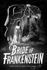 Poster to the movie "The Bride of Frankenstein" #114155