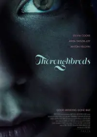 Poster to the movie "Thoroughbreds" #285075