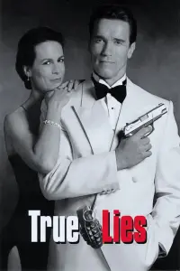 Poster to the movie "True Lies" #242845