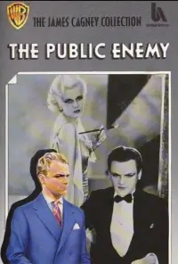 Poster to the movie "The Public Enemy" #230689