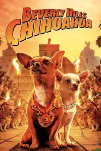 Poster to the movie "Beverly Hills Chihuahua" #75827