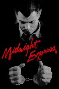 Poster to the movie "Midnight Express" #116052