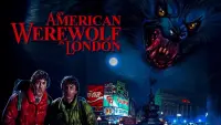 Backdrop to the movie "An American Werewolf in London" #50289