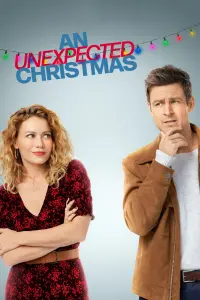 Poster to the movie "An Unexpected Christmas" #144694