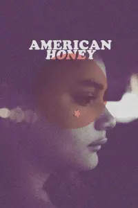 Poster to the movie "American Honey" #261736