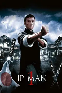 Poster to the movie "Ip Man" #132526