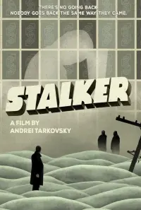 Poster to the movie "Stalker" #611228