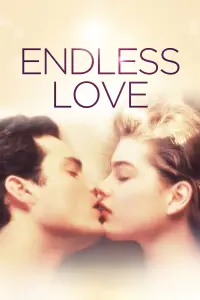 Poster to the movie "Endless Love" #111596