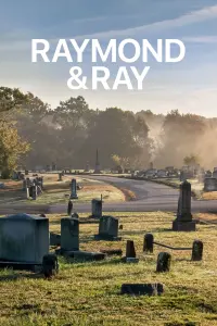 Poster to the movie "Raymond & Ray" #152587