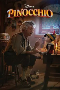 Poster to the movie "Pinocchio" #59568